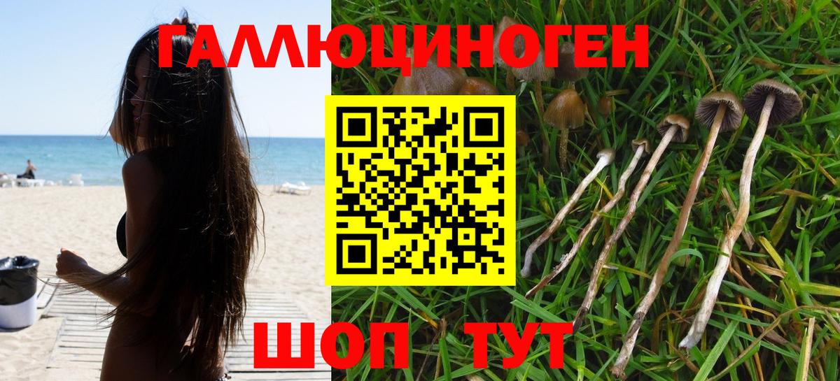 Галлюциногенные грибы мицелий Воронеж