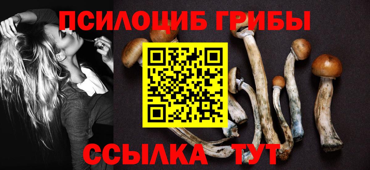 Воронеж  Псилоцибиновые грибы прущие грибы  Вход с VPN 